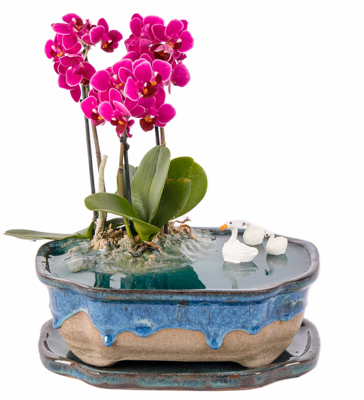 Art of Ceramic Series - Mini Mor Orkideli Teraryum - 1