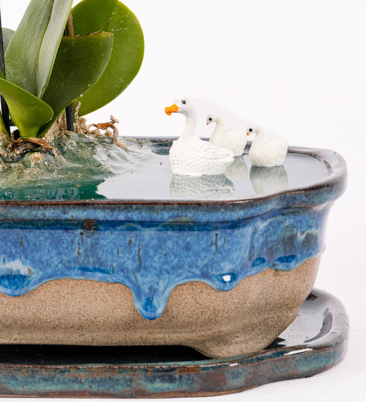 Art of Ceramic Series - Mini Mor Orkideli Teraryum - 4