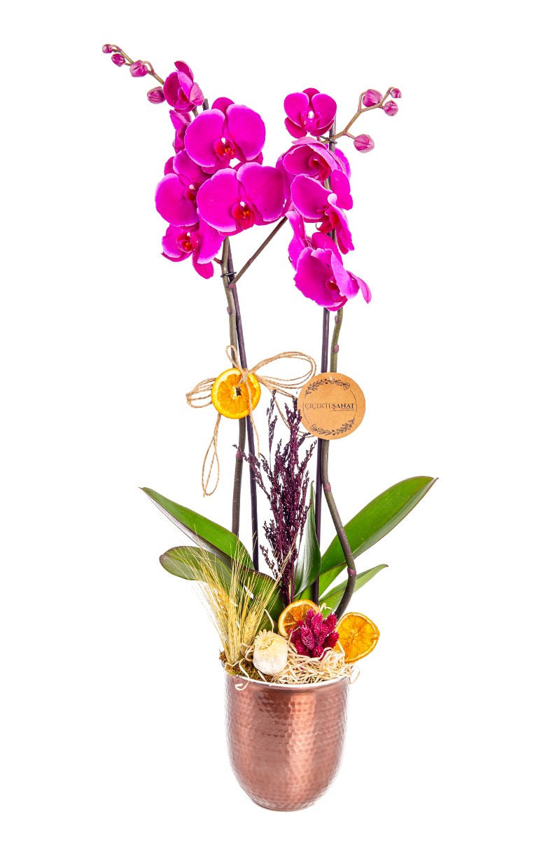 Purple Orchid in Copper - 1