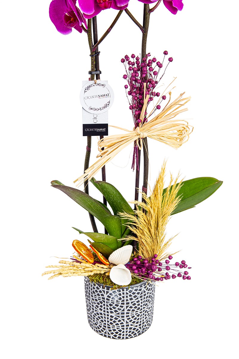 Decorative Purple Orchid - 3