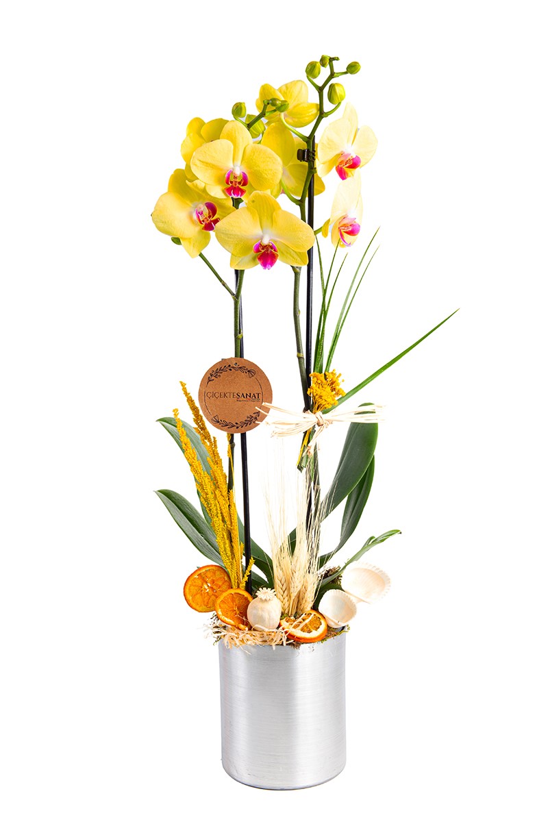Steel Design Yellow Orchid