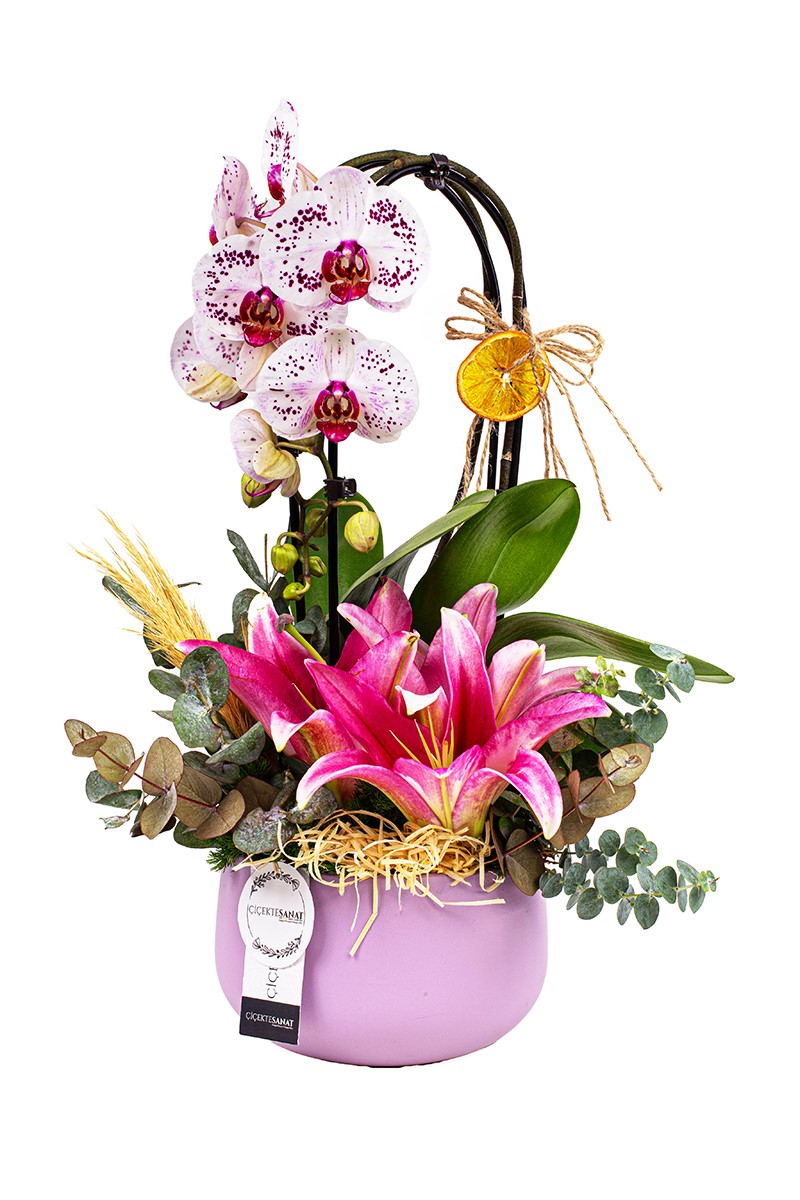 Orchid Lilies Arrangement - 1