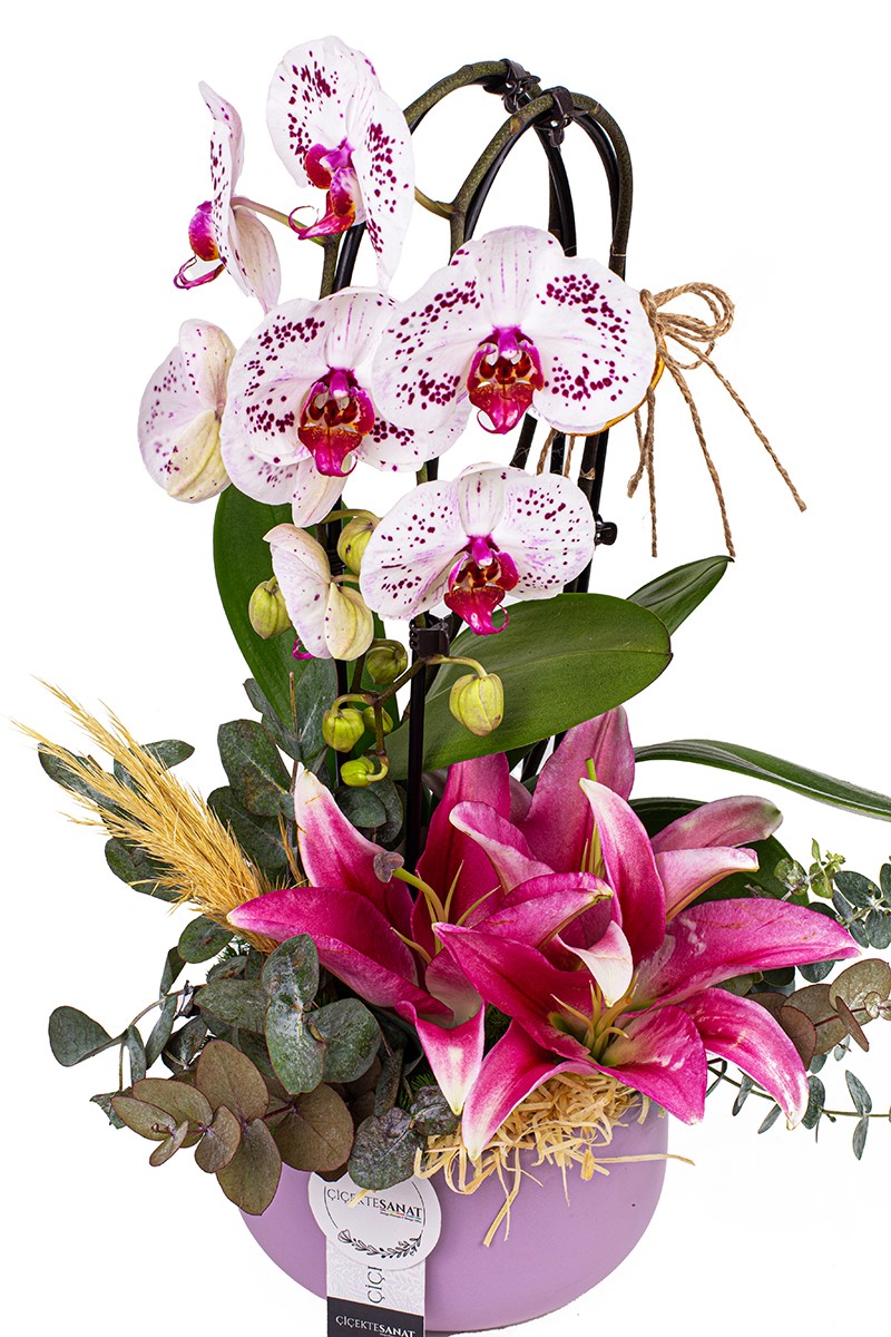 Orchid Lilies Arrangement - 2