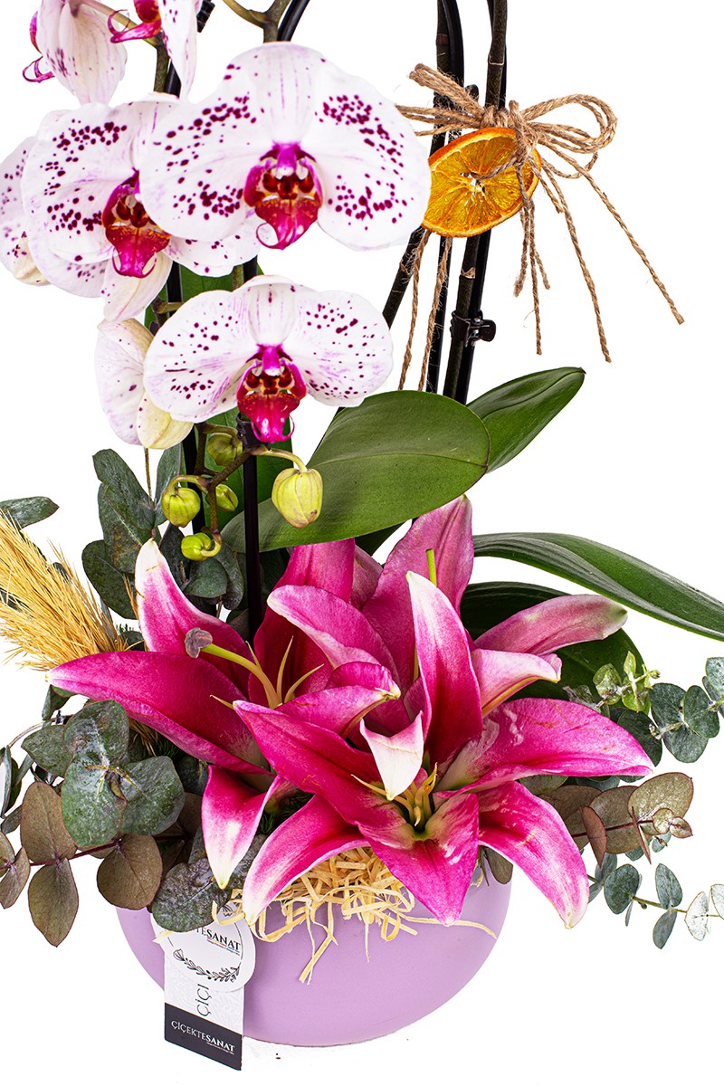 Orchid Lilies Arrangement - 3
