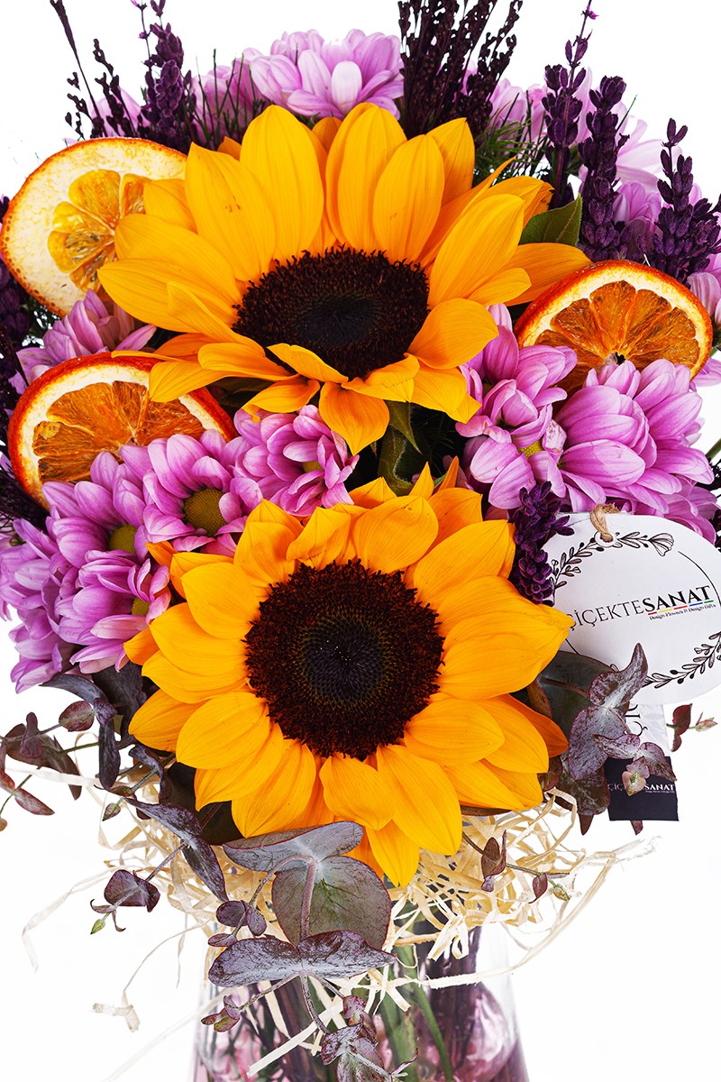  Purple Daisy & Sunflower