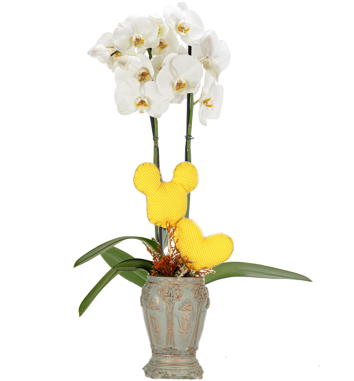 Caravaggio Serisi Premium İthal Çift Dal Beyaz Orkide Tasarım - Sarı Kalpler - 1